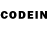Псилоцибиновые грибы GOLDEN TEACHER Aces_Store