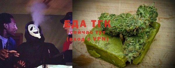 индика Надым