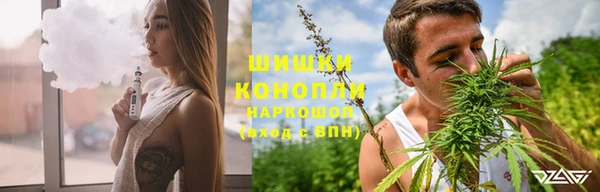 МДПВ Навашино
