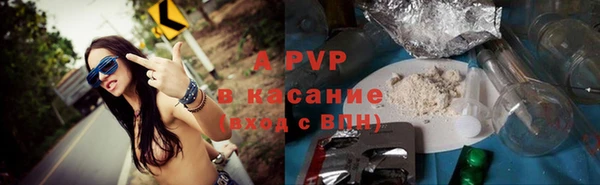 PSILOCYBIN Бородино