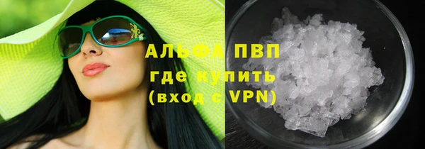 PSILOCYBIN Бородино
