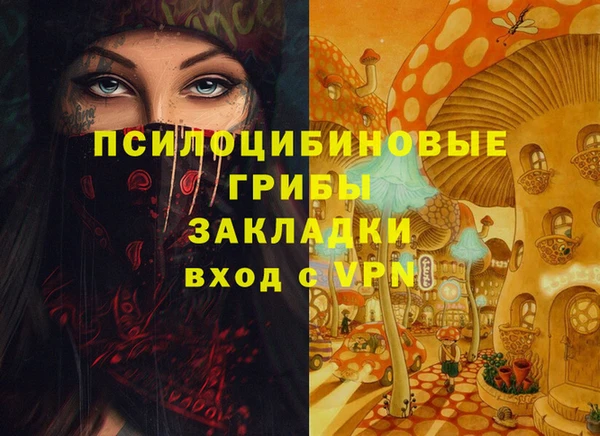 apvp Верея