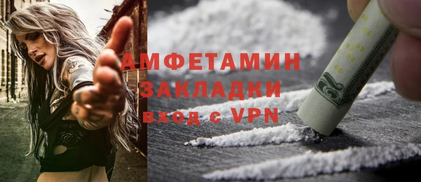индика Надым