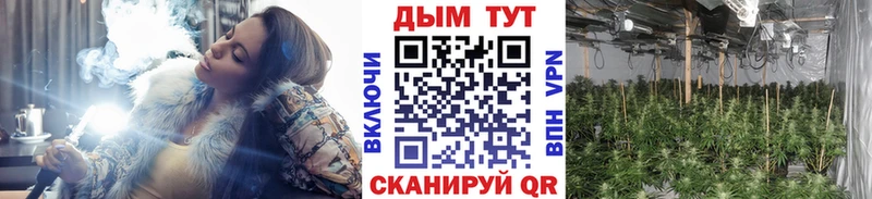 Купить  Дубна  Шишки марихуана SATIVA & INDICA 